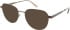 Calvin Klein CK25519 Sunglasses in Blush
