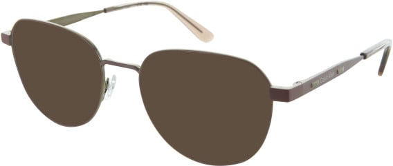 Calvin Klein CK25519 Sunglasses in Blush