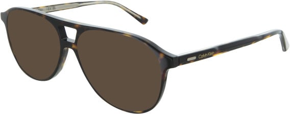 Calvin Klein CK25107 Sunglasses in Tortoise