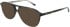 Calvin Klein CK25107 Sunglasses in Tortoise