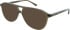 Calvin Klein CK25107 Sunglasses in Clear Brown