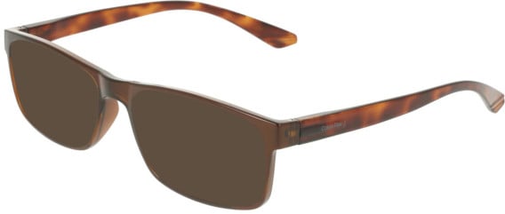 Calvin Klein CK19569N sunglasses in Transparent Brown