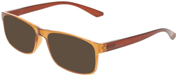 Calvin Klein CK19569N sunglasses in Transparent Light Brown