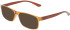 Calvin Klein CK19569N sunglasses in Transparent Light Brown