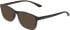 Calvin Klein CK19571N sunglasses in Matte Crystal Brown