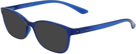 Calvin Klein CK23525N sunglasses in Navy