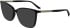 Calvin Klein CK24545-53 sunglasses in Dark Havana