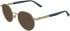 Calvin Klein CK25112 sunglasses in Gold
