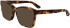 Calvin Klein CK25516 sunglasses in Havana