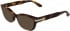Calvin Klein CK25541 sunglasses in Havana