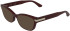 Calvin Klein CK25541 sunglasses in Opaline Burgundy