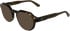 Calvin Klein CK25545 sunglasses in Dark Havana