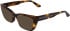 Calvin Klein CK25549 sunglasses in Havana