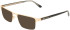 Calvin Klein CK26113I sunglasses in Gold / Black