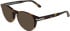 Calvin Klein CK26513 sunglasses in Havana
