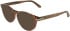 Calvin Klein CK26513 sunglasses in Transparent Brick