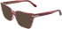 Calvin Klein CK26515 sunglasses in Transparent Striped Burgundy