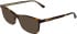 Calvin Klein CK26516-50 sunglasses in Havana