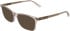 Calvin Klein CK26516-53 sunglasses in Transparent Nude