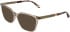Calvin Klein CK26536 sunglasses in Transparent Nude