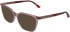 Calvin Klein CK26536 sunglasses in Transparent Rose