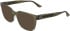 Calvin Klein CK26541 sunglasses in Transparent Khaki