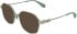 Calvin Klein CKJ26224 sunglasses in Gold/Light Green