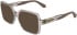Calvin Klein CKJ26613 sunglasses in Transparent Grey