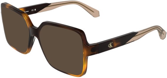 Calvin Klein CKJ26613 sunglasses in Havana