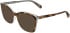 Calvin Klein CKJ26638 sunglasses in Havana