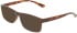 Calvin Klein CK19569N sunglasses in Transparent Brown