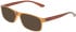 Calvin Klein CK19569N sunglasses in Transparent Light Brown