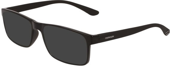 Calvin Klein CK19569N sunglasses in Crystal Brown