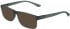 Calvin Klein CK19569N sunglasses in Matte Crystal Light Green