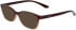 Calvin Klein CK23525N sunglasses in Sand