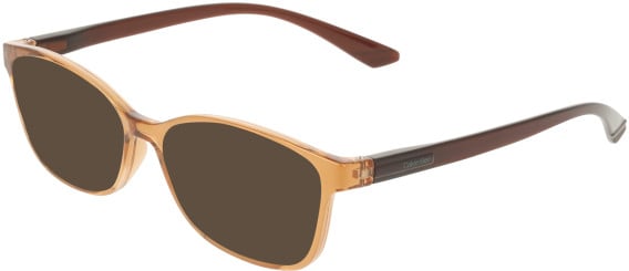 Calvin Klein CK23525N sunglasses in Transparent Beige