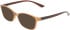 Calvin Klein CK23525N sunglasses in Transparent Beige