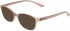 Calvin Klein CK23525N sunglasses in Transparent Gradient Mauve