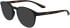 Calvin Klein CK23527N sunglasses in Black/Havana