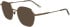 Calvin Klein CK25103 sunglasses in Amber Gold