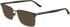 Calvin Klein CK25106-56 sunglasses in Khaki