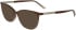 Calvin Klein CK25512 sunglasses in Transparent Brown/Rose