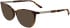 Calvin Klein CK25512 sunglasses in Havana