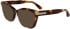 Calvin Klein CK25513 sunglasses in Havana