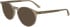 Calvin Klein CK25518 sunglasses in Transparent Beige