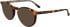 Calvin Klein CK25518 sunglasses in Havana/Black