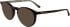 Calvin Klein CK25518 sunglasses in Dark Havana