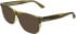 Calvin Klein CK25540 sunglasses in Transparent Striped Brown