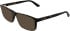 Calvin Klein CK25546-55 sunglasses in Dark Havana