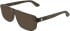 Calvin Klein CK25548 sunglasses in Transparent Brown